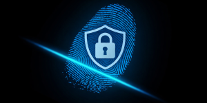 Seguridad electrónica